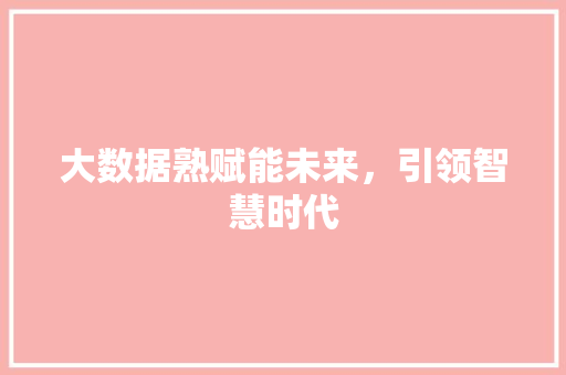 大数据熟赋能未来，引领智慧时代