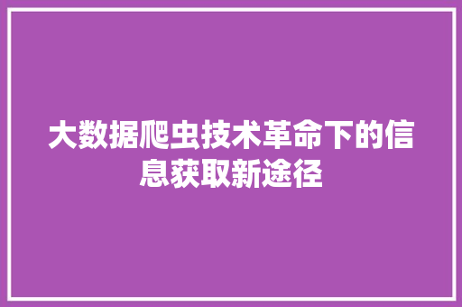 大数据爬虫技术革命下的信息获取新途径 SEO教程