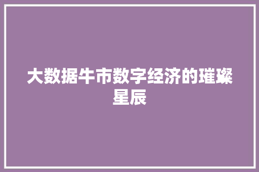 大数据牛市数字经济的璀璨星辰 友链在线