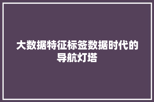 大数据特征标签数据时代的导航灯塔