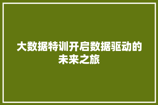 大数据特训开启数据驱动的未来之旅