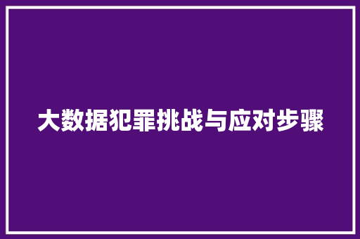 大数据犯罪挑战与应对步骤