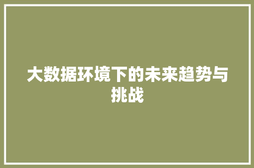 大数据环境下的未来趋势与挑战