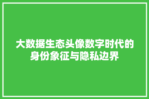 大数据生态头像数字时代的身份象征与隐私边界 SEO教程