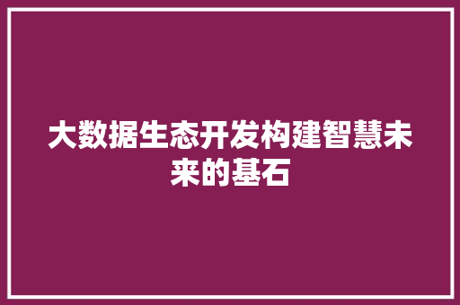 大数据生态开发构建智慧未来的基石