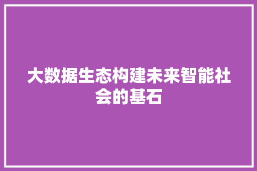 大数据生态构建未来智能社会的基石
