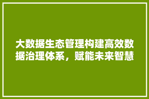 大数据生态管理构建高效数据治理体系，赋能未来智慧发展