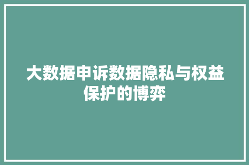 大数据申诉数据隐私与权益保护的博弈
