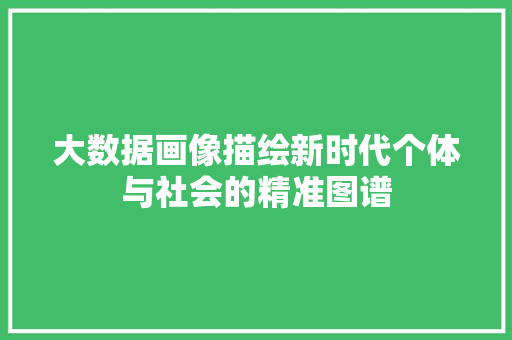 大数据画像描绘新时代个体与社会的精准图谱