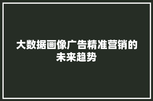 大数据画像广告精准营销的未来趋势