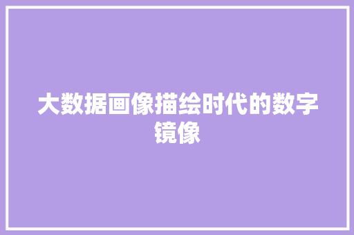 大数据画像描绘时代的数字镜像