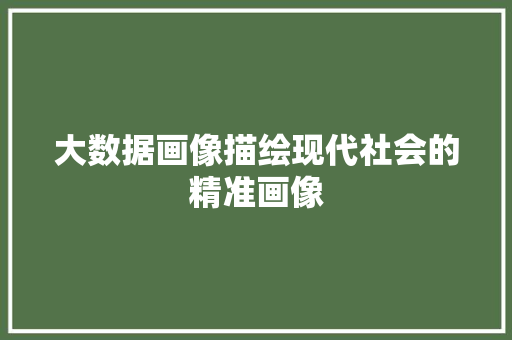 大数据画像描绘现代社会的精准画像