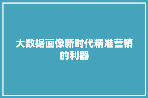 大数据画像新时代精准营销的利器