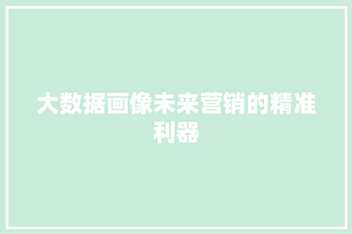 大数据画像未来营销的精准利器
