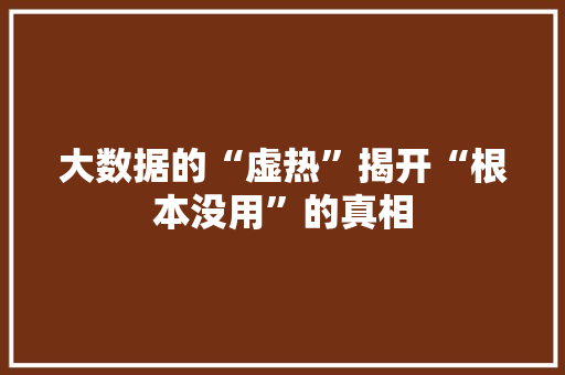 大数据的“虚热”揭开“根本没用”的真相