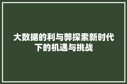 大数据的利与弊探索新时代下的机遇与挑战