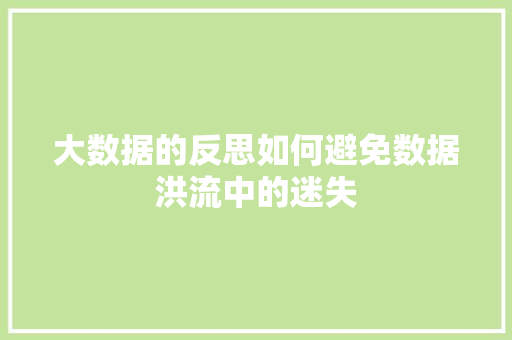 大数据的反思如何避免数据洪流中的迷失