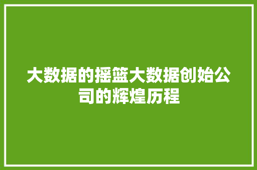 大数据的摇篮大数据创始公司的辉煌历程