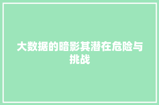 大数据的暗影其潜在危险与挑战