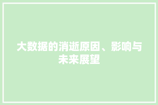 大数据的消逝原因、影响与未来展望