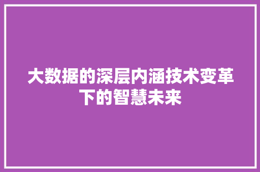 大数据的深层内涵技术变革下的智慧未来