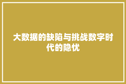 大数据的缺陷与挑战数字时代的隐忧