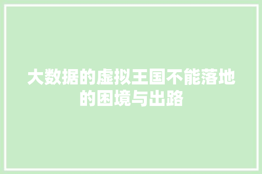 大数据的虚拟王国不能落地的困境与出路