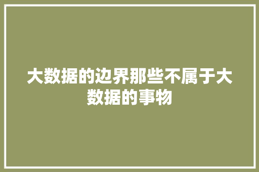 大数据的边界那些不属于大数据的事物