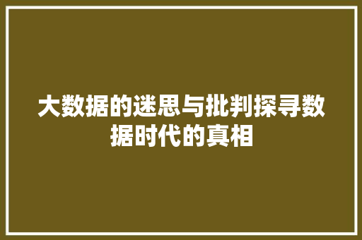 大数据的迷思与批判探寻数据时代的真相