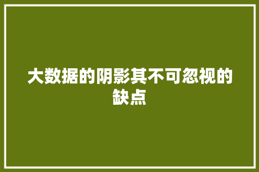大数据的阴影其不可忽视的缺点 友链在线