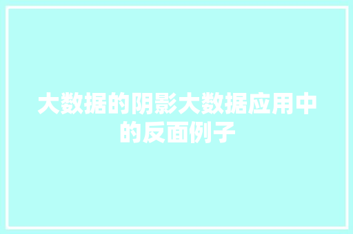 大数据的阴影大数据应用中的反面例子