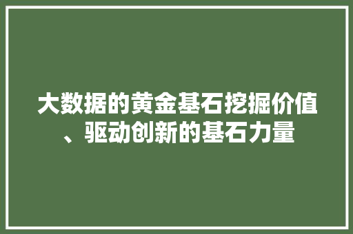 大数据的黄金基石挖掘价值、驱动创新的基石力量
