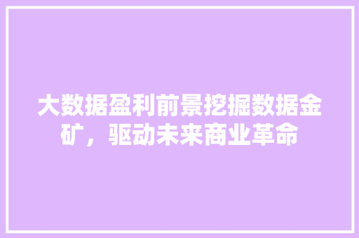 大数据盈利前景挖掘数据金矿，驱动未来商业革命