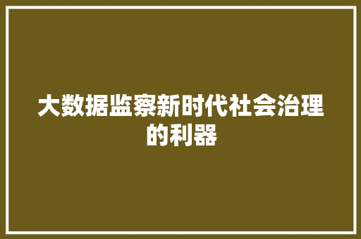 大数据监察新时代社会治理的利器