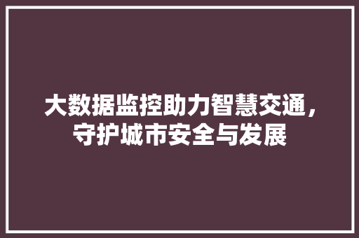 大数据监控助力智慧交通，守护城市安全与发展