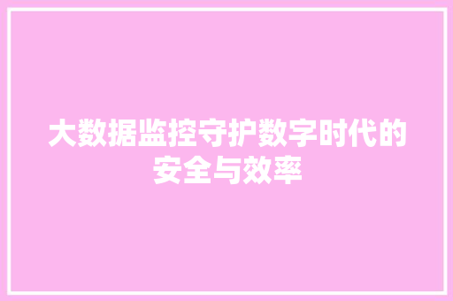 大数据监控守护数字时代的安全与效率