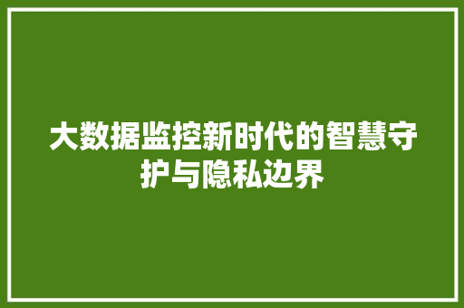 大数据监控新时代的智慧守护与隐私边界