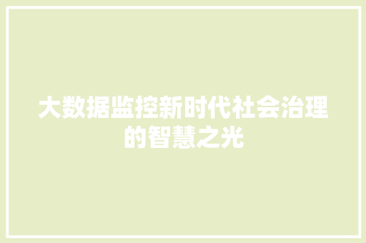 大数据监控新时代社会治理的智慧之光