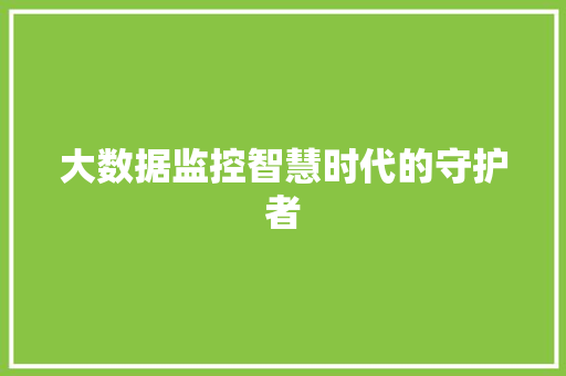 大数据监控智慧时代的守护者
