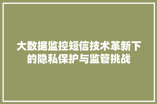 大数据监控短信技术革新下的隐私保护与监管挑战 Web前端