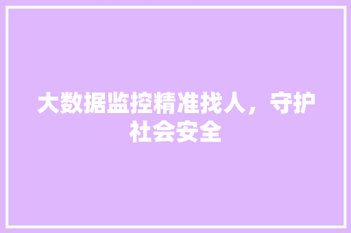 大数据监控精准找人，守护社会安全