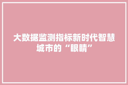 大数据监测指标新时代智慧城市的“眼睛”