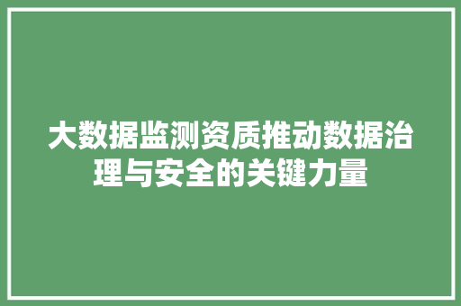 大数据监测资质推动数据治理与安全的关键力量