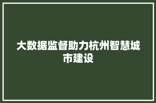 大数据监督助力杭州智慧城市建设