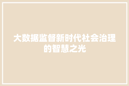大数据监督新时代社会治理的智慧之光