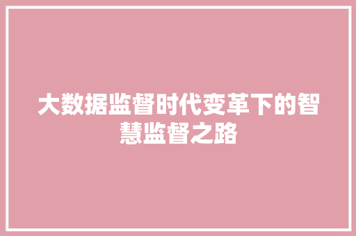 大数据监督时代变革下的智慧监督之路 SEO教程