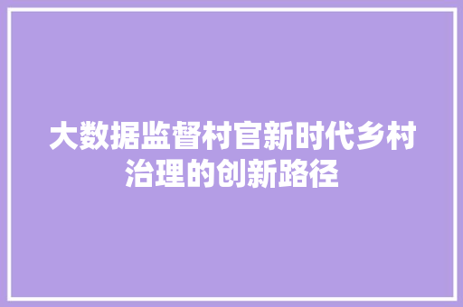 大数据监督村官新时代乡村治理的创新路径