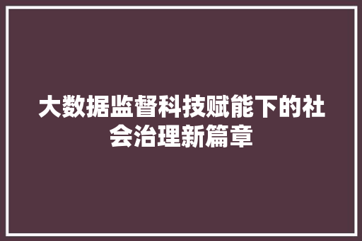 大数据监督科技赋能下的社会治理新篇章 SEO教程