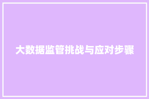 大数据监管挑战与应对步骤
