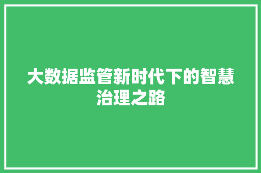大数据监管新时代下的智慧治理之路